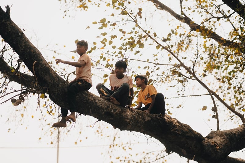 Treehouse Escapes